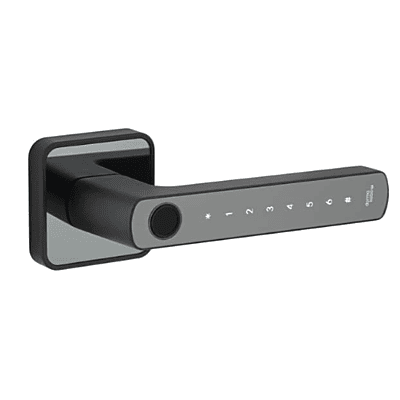 Kaba Rose Biometric Door Lever