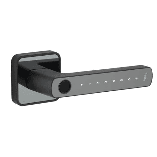 Kaba Rose Biometric Door Lever Kaba Rose Biometric Door Lever